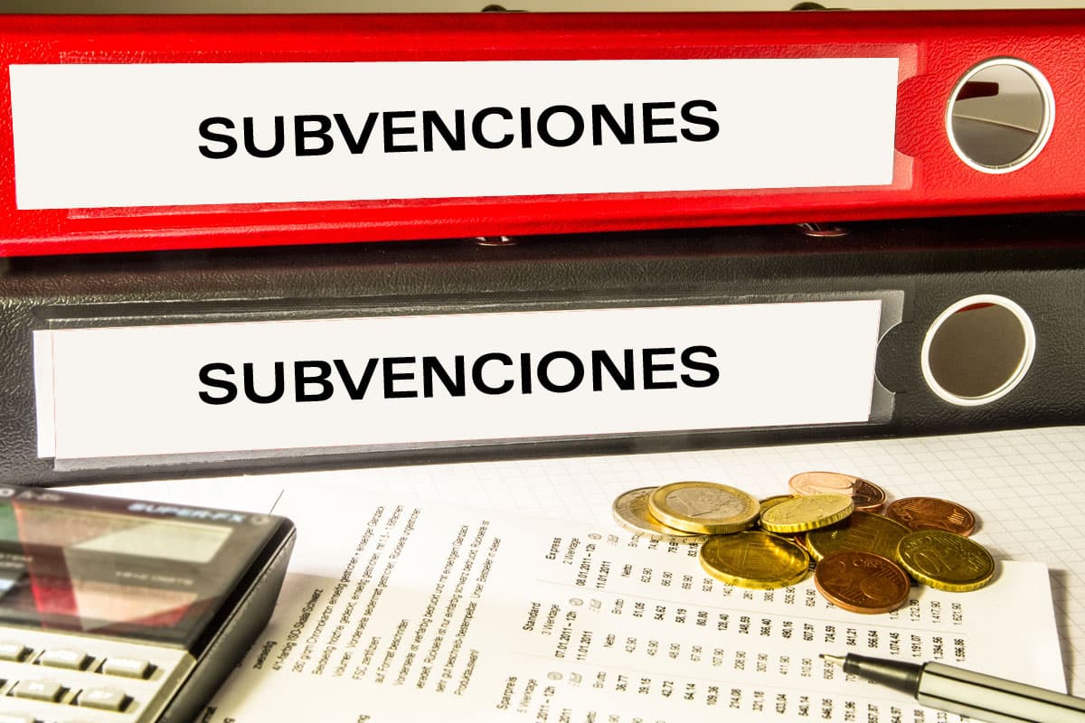 Especialistas en la gestión de subvenciones